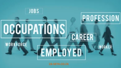 What Is the Best Career to Go Into